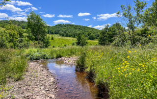 Classic Catskill Creek-- 624 Brownell Road