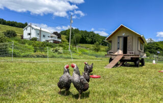 Classic Catskill Farmstead -- 624 Brownell Road