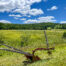 Classic Catskill Farmstead -- 624 Brownell Road