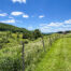 Classic Catskill Farmstead -- 624 Brownell Road