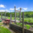 Raised Garden Beds -- 624 Brownell Road