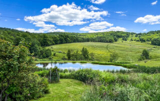 Pond with mountain in the background -- 624 Brownell Road