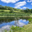 View over pond to 150+ blueberry bushes -- 624 Brownell Road