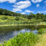 View over pond to 150+ blueberry bushes -- 624 Brownell Road