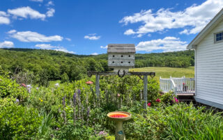 Established Perennial Gardens -- 624 Brownell Rd