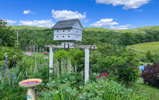 Established Perennial Gardens -- 624 Brownell Rd