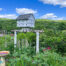 Established Perennial Gardens -- 624 Brownell Rd