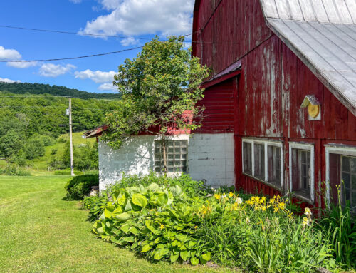 Classic Dairy Barn — 624 Brownell Rd