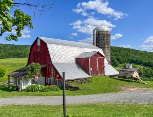 Classic Catskill Dairy Barn — 624 Brownell Rd