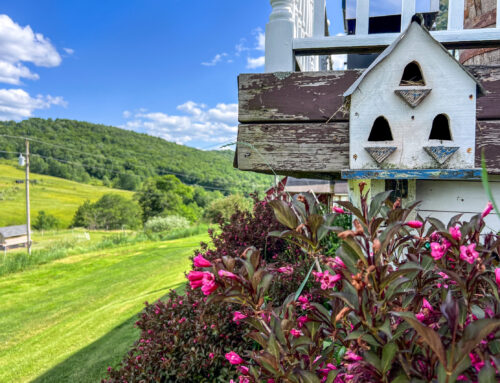 Established perennial gardens — 624 Brownell Rd